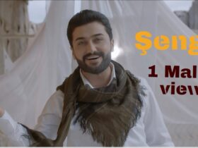 هركي شه نگئ
